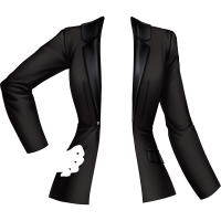 Veste de smoking Handsome Suit